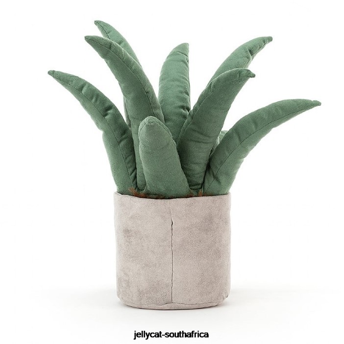 419 Toy Amuseable Aloe Vera Multi-colour Jellycat