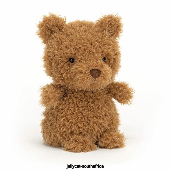 726 Book I Might Be Little Book and Little Bear Brown Jellycat