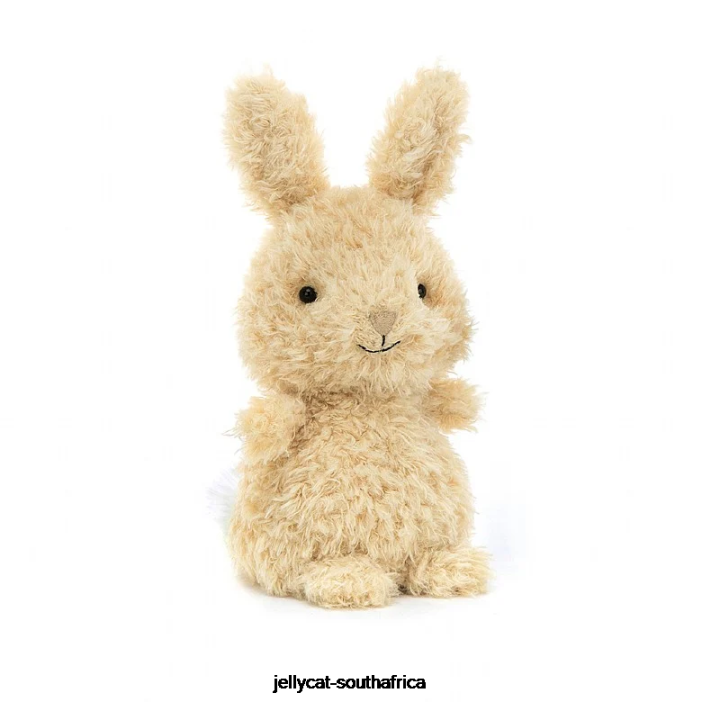 737 Book Who Can I Find Book and Little Bunny Honey Jellycat