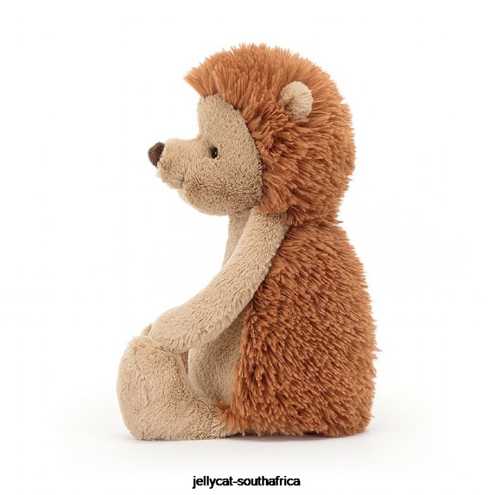 565 Toy Bashful Hedgehog Brown Jellycat